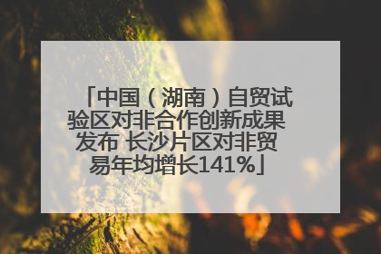 中国（湖南）自贸试验区对非合作创新成果发布 长沙片区对非贸易年均增长141%