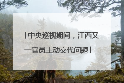 中央巡视期间，江西又一官员主动交代问题