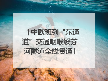 中欧班列“东通道”交通咽喉绥芬河隧道全线贯通