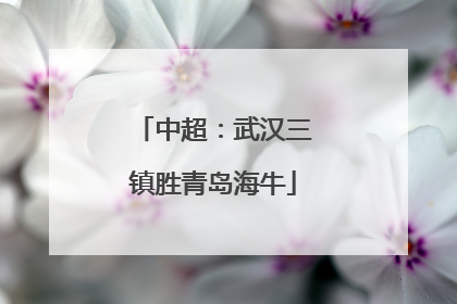 中超：武汉三镇胜青岛海牛