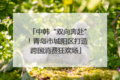 中韩“双向奔赴”！青岛市城阳区打造跨国消费狂欢场