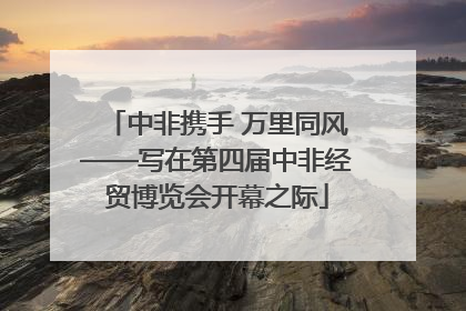 中非携手 万里同风——写在第四届中非经贸博览会开幕之际