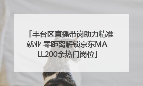 丰台区直播带岗助力精准就业 零距离解锁京东MALL200余热门岗位