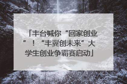 丰台喊你“回家创业”！“丰翼创未来”大学生创业争霸赛启动
