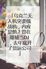 乌克兰无人机突袭俄战机，内应是他？曾在基辅当DJ，去年底开了货运公司