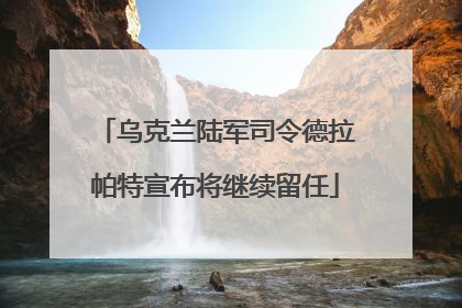 乌克兰陆军司令德拉帕特宣布将继续留任