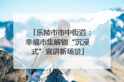 乐陵市市中街道：幸福市集解锁“沉浸式”宣讲新场景
