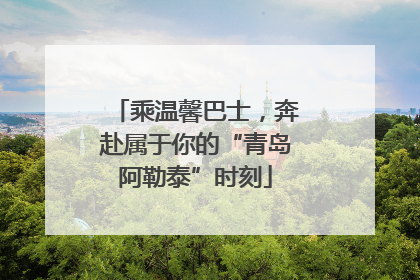 乘温馨巴士，奔赴属于你的“青岛阿勒泰”时刻