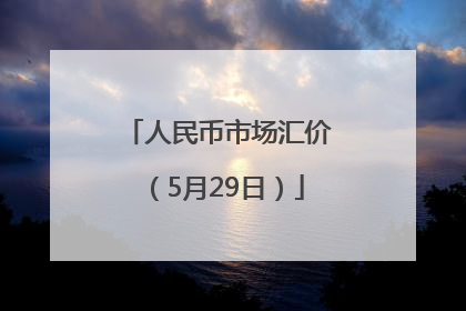 人民币市场汇价（5月29日）