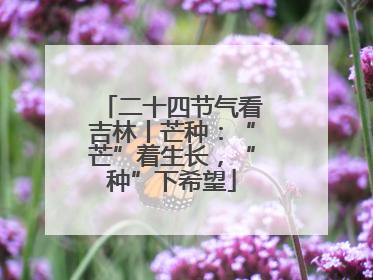二十四节气看吉林丨芒种：“芒”着生长，“种”下希望