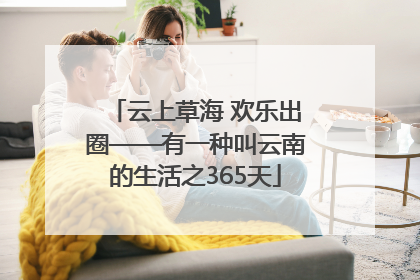 云上草海 欢乐出圈——有一种叫云南的生活之365天