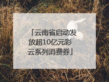 云南省启动发放超10亿元彩云系列消费券