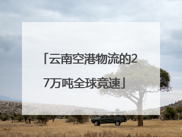 云南空港物流的27万吨全球竞速