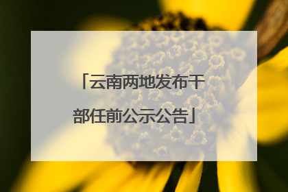 云南两地发布干部任前公示公告