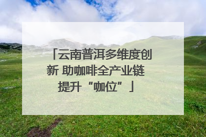 云南普洱多维度创新 助咖啡全产业链提升“咖位”
