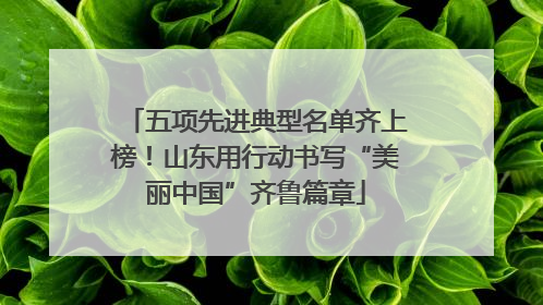 五项先进典型名单齐上榜！山东用行动书写“美丽中国”齐鲁篇章