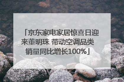 京东家电家居惊喜日迎来董明珠 带动空调品类销量同比增长100%