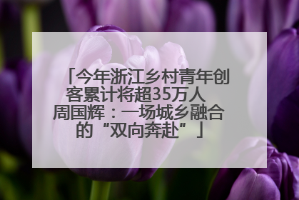 今年浙江乡村青年创客累计将超35万人 周国辉：一场城乡融合的“双向奔赴”