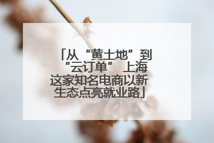 从“黄土地”到“云订单” 上海这家知名电商以新生态点亮就业路