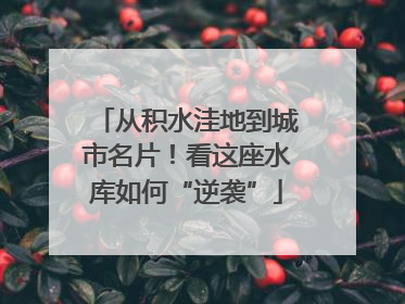 从积水洼地到城市名片！看这座水库如何“逆袭”
