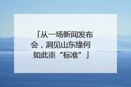 从一场新闻发布会，洞见山东缘何如此重“标准”