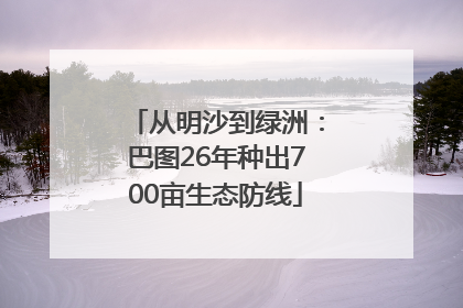 从明沙到绿洲：巴图26年种出700亩生态防线