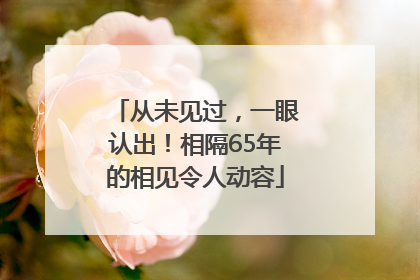 从未见过，一眼认出！相隔65年的相见令人动容