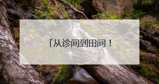 从诊间到田间！医疗帮扶架起健康“连心桥”