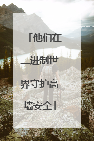 他们在二进制世界守护高墙安全
