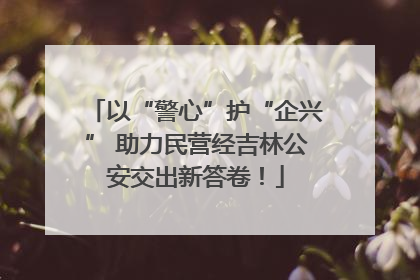 以“警心”护“企兴” 助力民营经吉林公安交出新答卷！