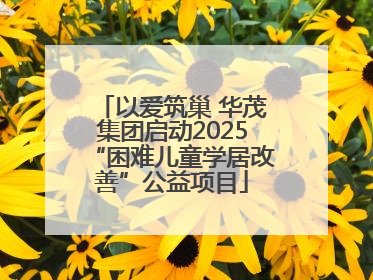 以爱筑巢 华茂集团启动2025“困难儿童学居改善”公益项目