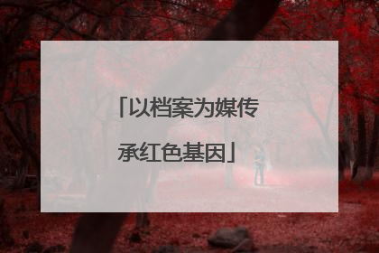 以档案为媒传承红色基因