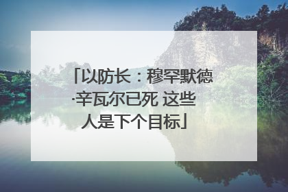 以防长：穆罕默德·辛瓦尔已死 这些人是下个目标