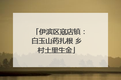伊滨区寇店镇：白玉山药扎根 乡村土里生金