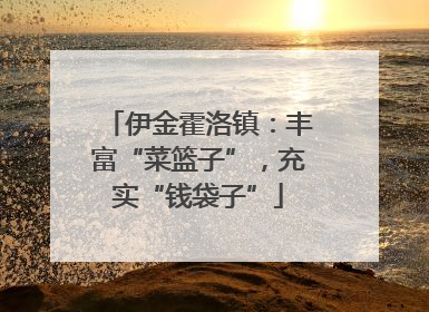 伊金霍洛镇：丰富“菜篮子”，充实“钱袋子”