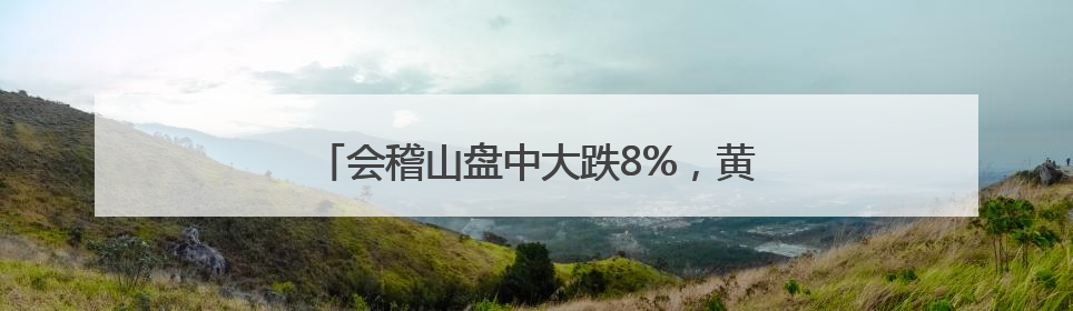会稽山盘中大跌8%，黄酒股股价“狂飙”暂止