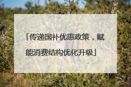 传递国补优惠政策，赋能消费结构优化升级