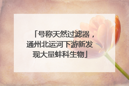号称天然过滤器，通州北运河下游新发现大量蚌科生物