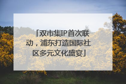 双市集IP首次联动，浦东打造国际社区多元文化盛宴