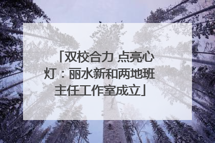双校合力 点亮心灯：丽水新和两地班主任工作室成立