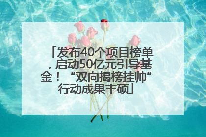 发布40个项目榜单，启动50亿元引导基金！“双向揭榜挂帅”行动成果丰硕