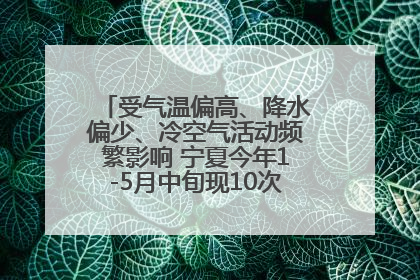 受气温偏高、降水偏少、冷空气活动频繁影响 宁夏今年1-5月中旬现10次定级沙尘天气过程