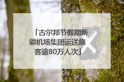 古尔邦节假期新疆机场集团运送旅客逾80万人次