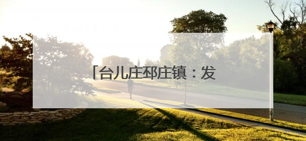 台儿庄邳庄镇：发挥人大监督作用 助力人居环境提升