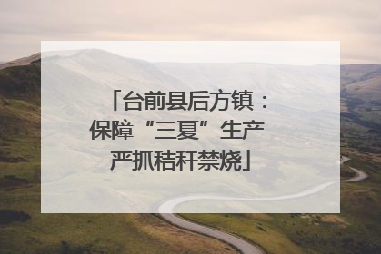 台前县后方镇：保障“三夏”生产 严抓秸秆禁烧