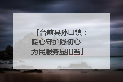 台前县孙口镇：暖心守护践初心 为民服务显担当