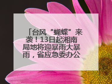 台风“蝴蝶”来袭！13日起湘南局地将迎暴雨大暴雨，省应急委办公室发布汛情提醒