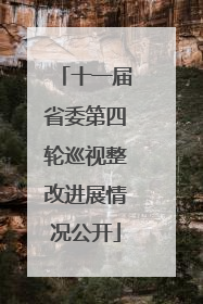 十一届省委第四轮巡视整改进展情况公开