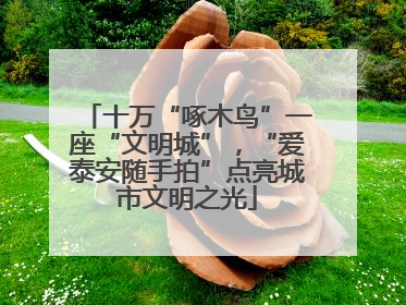 十万“啄木鸟”一座“文明城”，“爱泰安随手拍”点亮城市文明之光