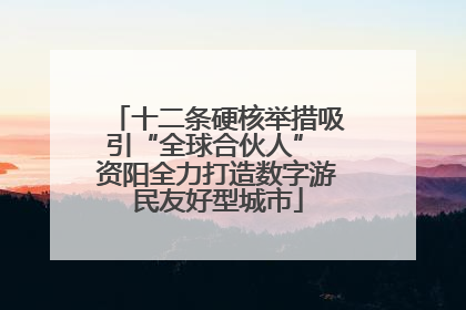 十二条硬核举措吸引“全球合伙人” 资阳全力打造数字游民友好型城市